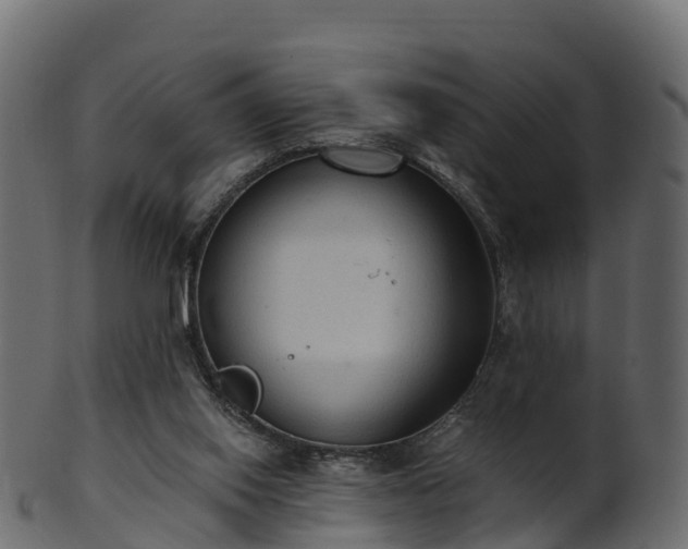 X0000101110062200807031750