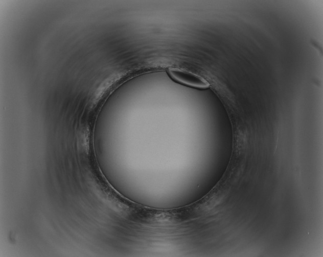 X0000101110064200807031750