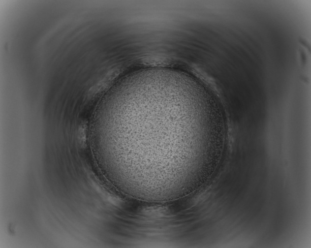 X0000101110065200807031750