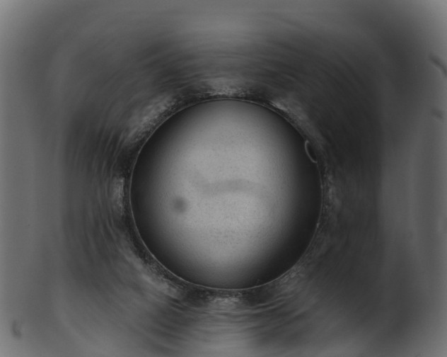 X0000101110066200807031750