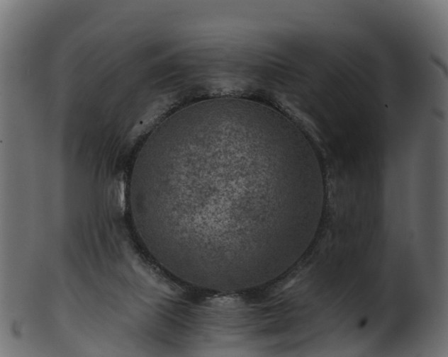 X0000101110067200807031750