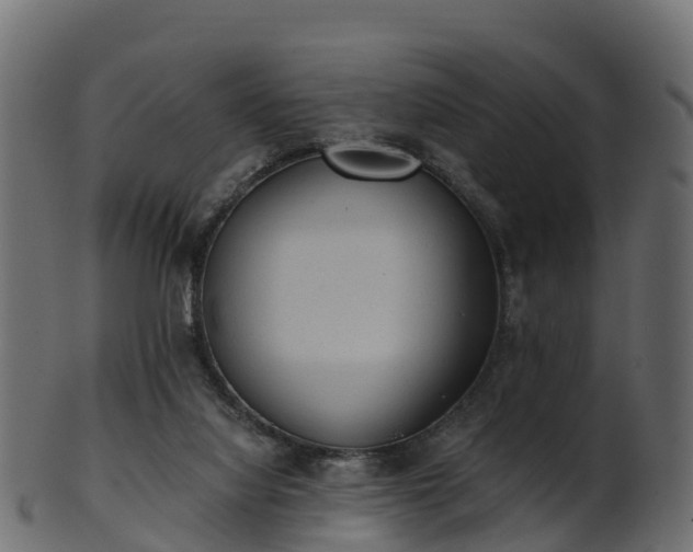 X0000101110068200807031750