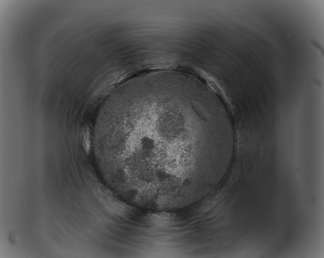 X0000101110069200807031750