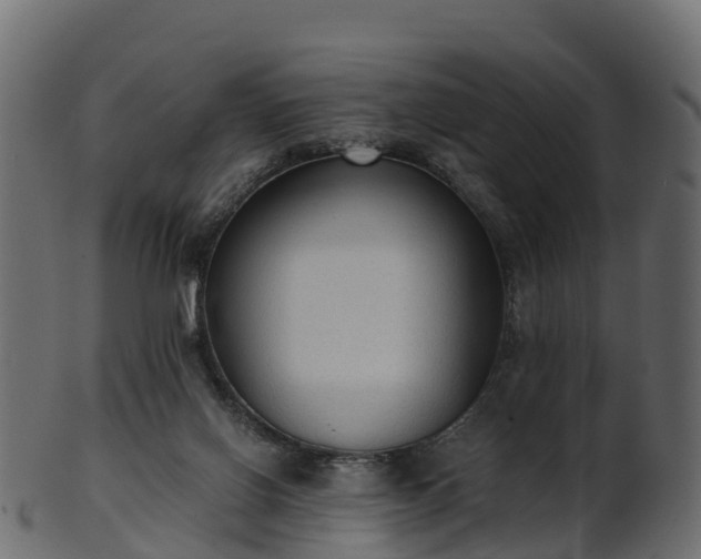 X0000101110070200807031750