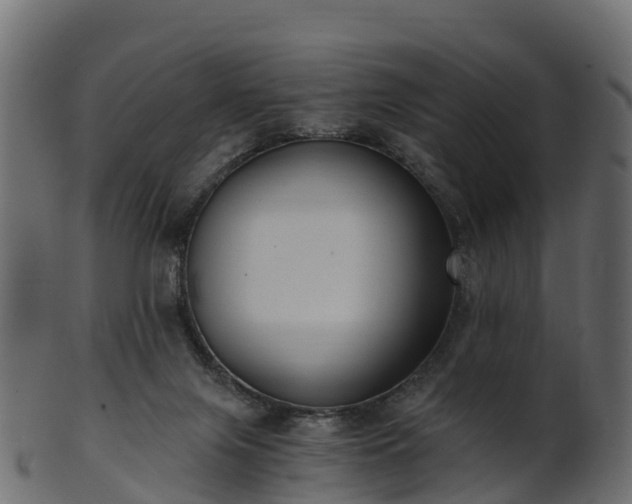 X0000101110071200807031750