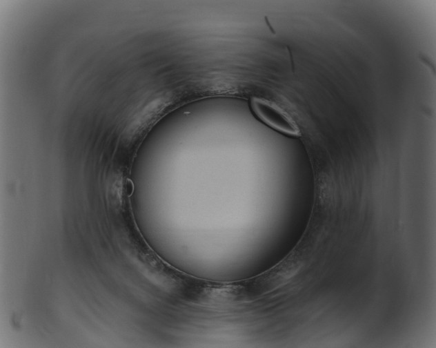 X0000101110072200807031750