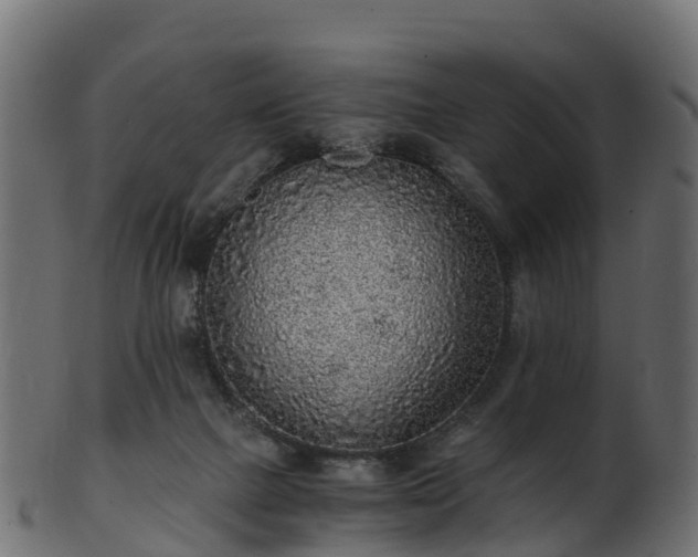 X0000101110073200807031750