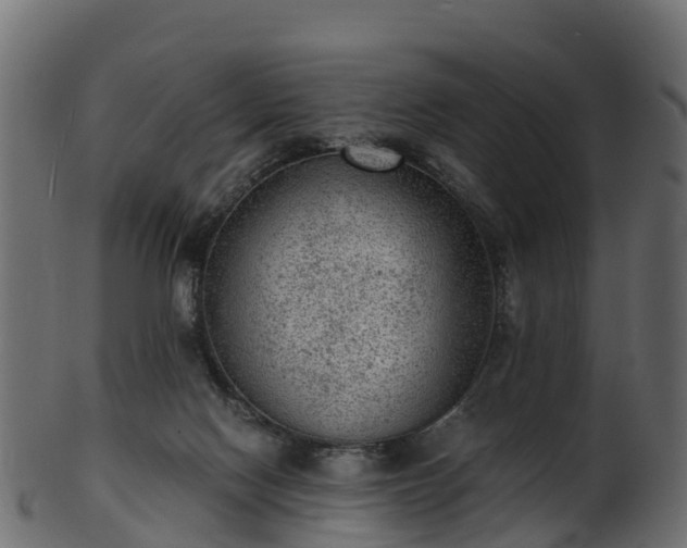 X0000101110074200807031750