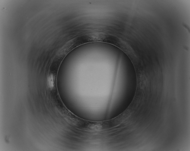 X0000101110075200807031750