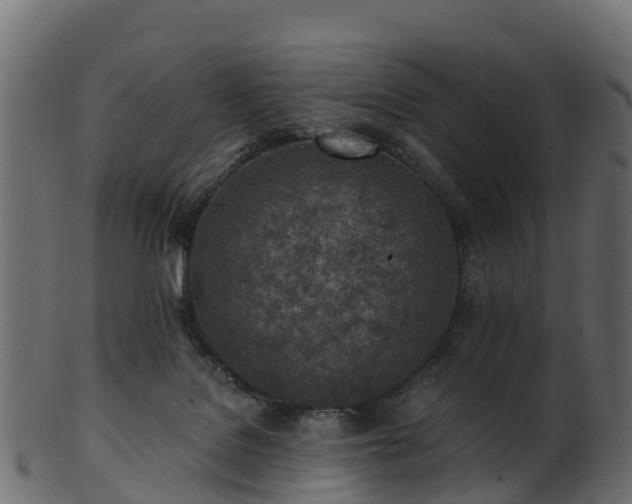X0000101110076200807031750