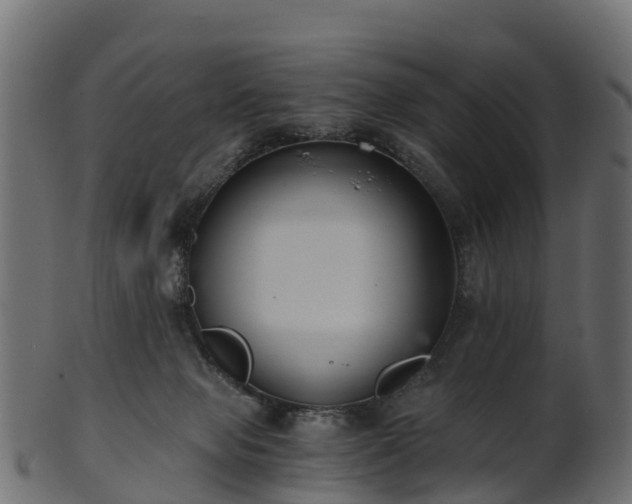 X0000101110077200807031750