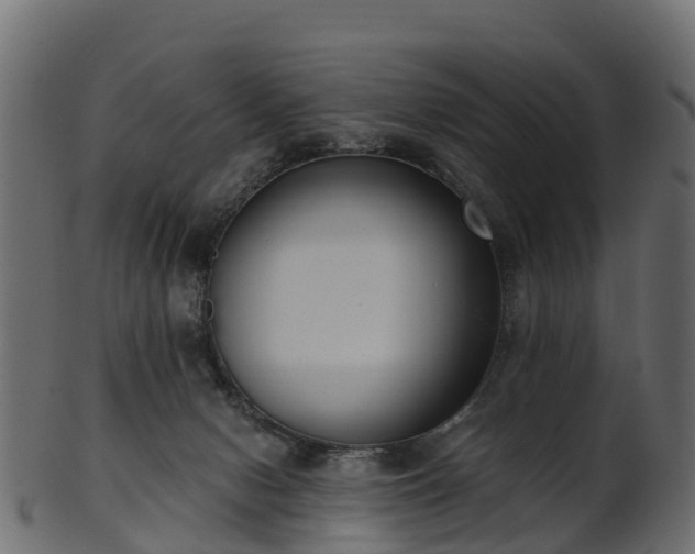 X0000101110078200807031750