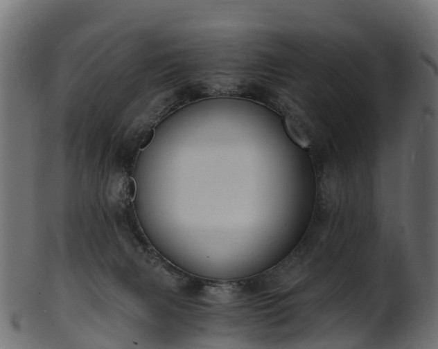 X0000101110079200807031750