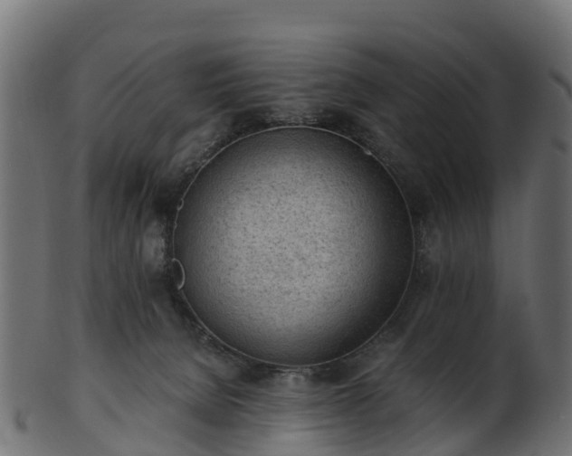 X0000101110080200807031750