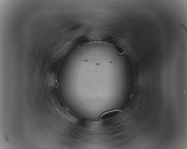 X0000101110081200807031750