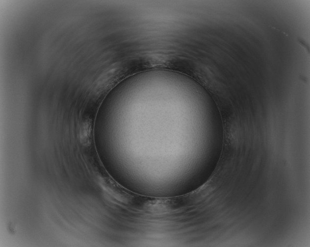 X0000101110082200807031750