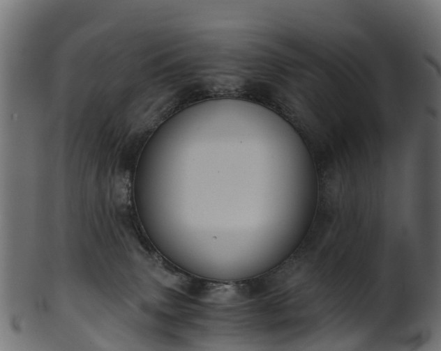 X0000101110083200807031750