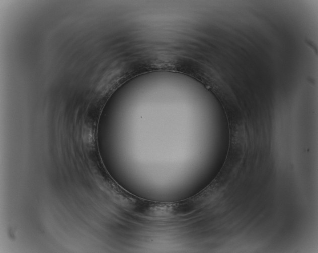 X0000101110084200807031750