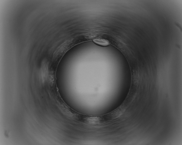X0000101110085200807031750