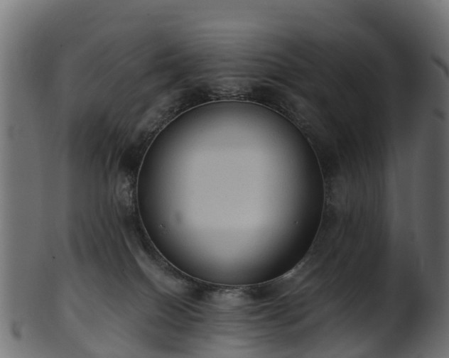 X0000101110086200807031750