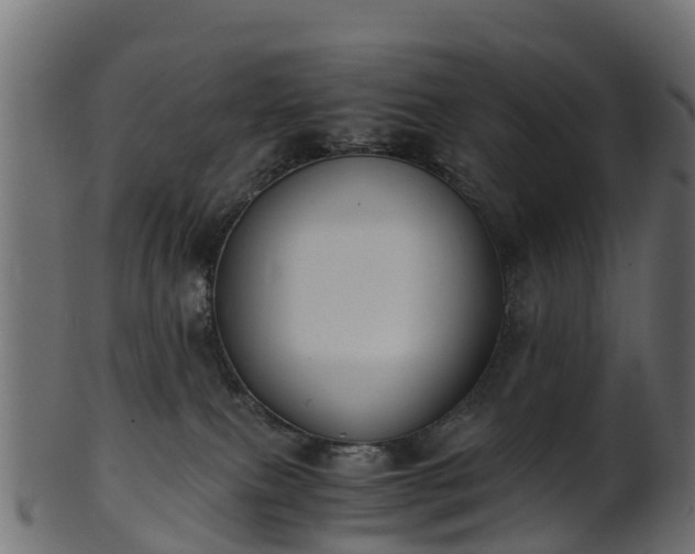 X0000101110087200807031750