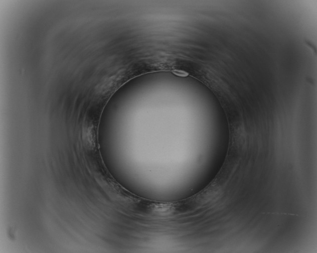 X0000101110088200807031750