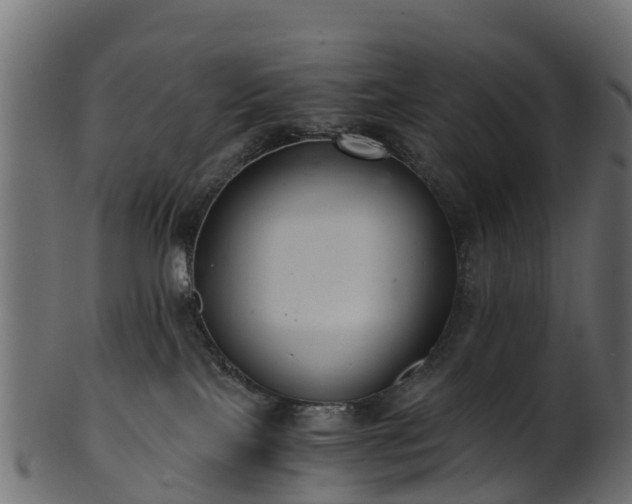 X0000101110089200807031750