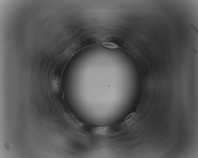 X0000101110090200807031750