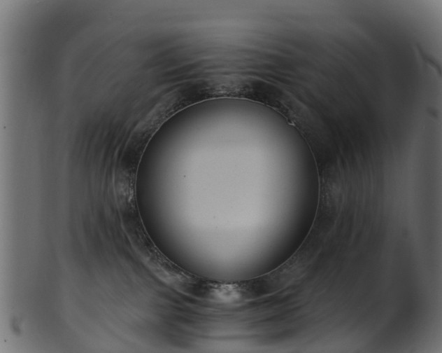 X0000101110091200807031750