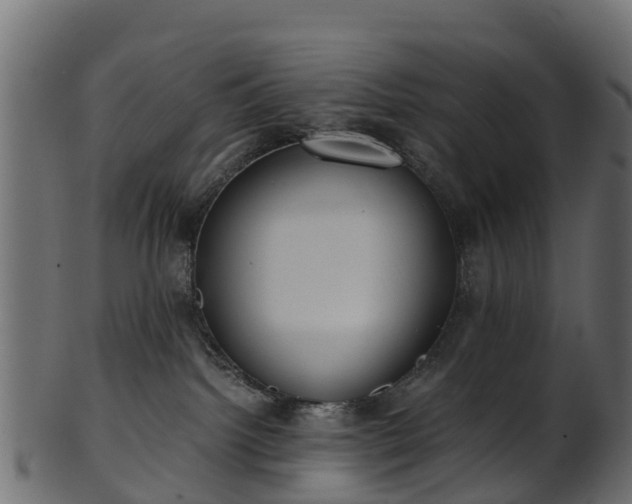 X0000101110092200807031750