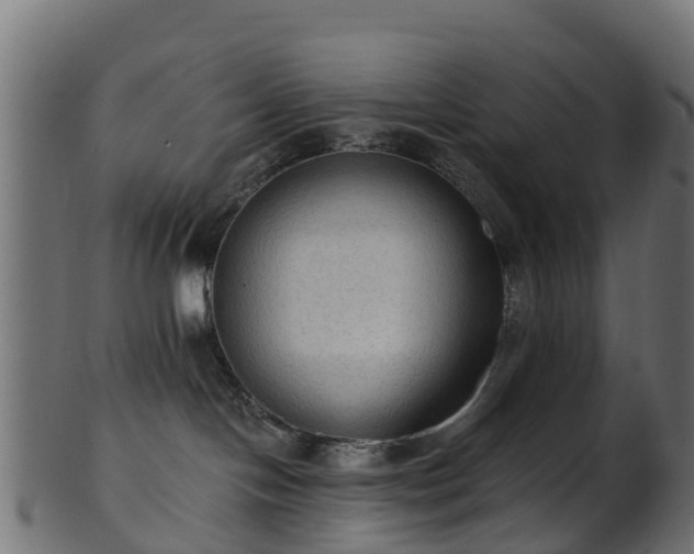 X0000101110094200807031750