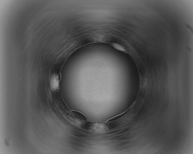 X0000101110095200807031750