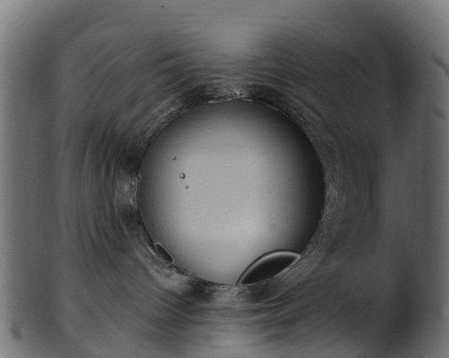 X0000101110096200807031750