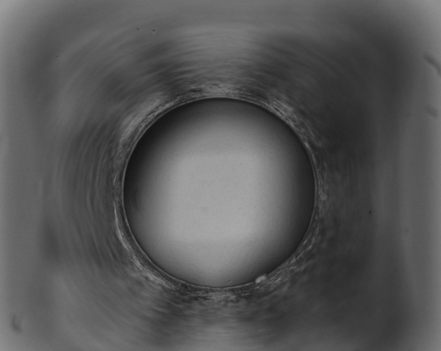 X0000101110097200807031749