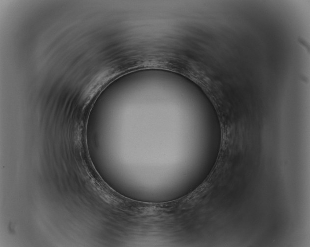 X0000101110098200807031749