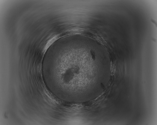X0000101110099200807031749