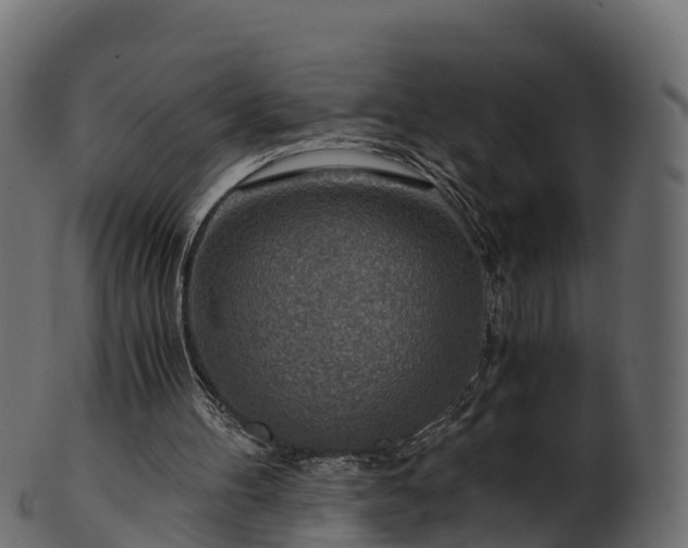 X0000101110100200807031749