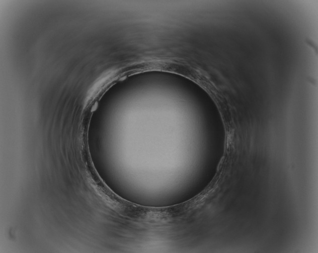 X0000101110101200807031749