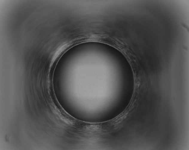 X0000101110102200807031749