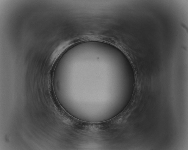 X0000101110103200807031749