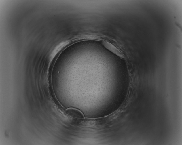 X0000101110104200807031749