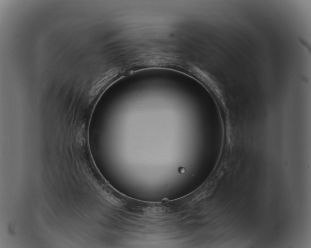 X0000101110105200807031749