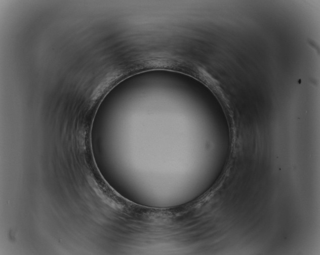 X0000101110106200807031749