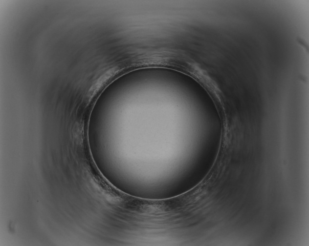 X0000101110107200807031749