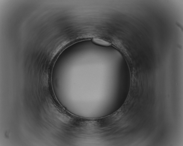 X0000101110108200807031749