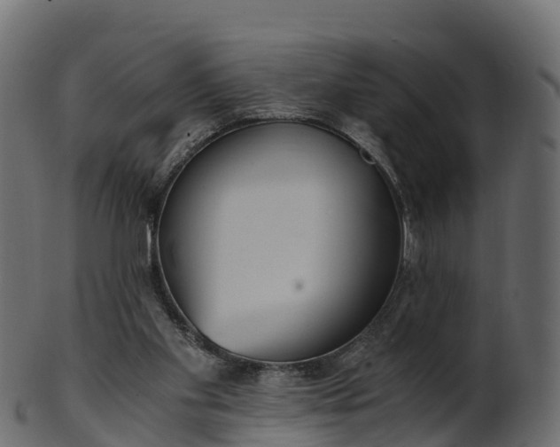 X0000101110109200807031749