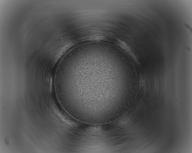 X0000101110110200807031749