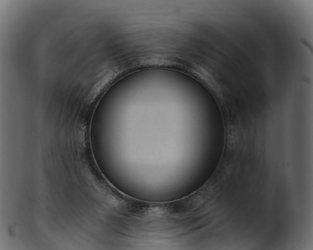 X0000101110111200807031749