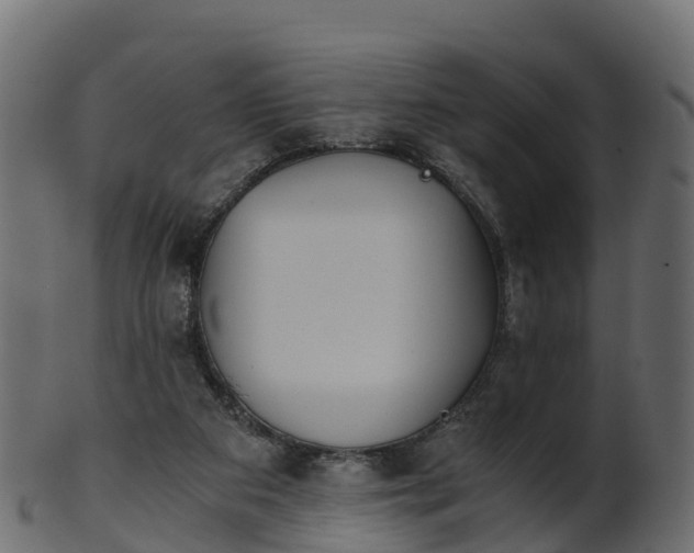 X0000101110113200807031749