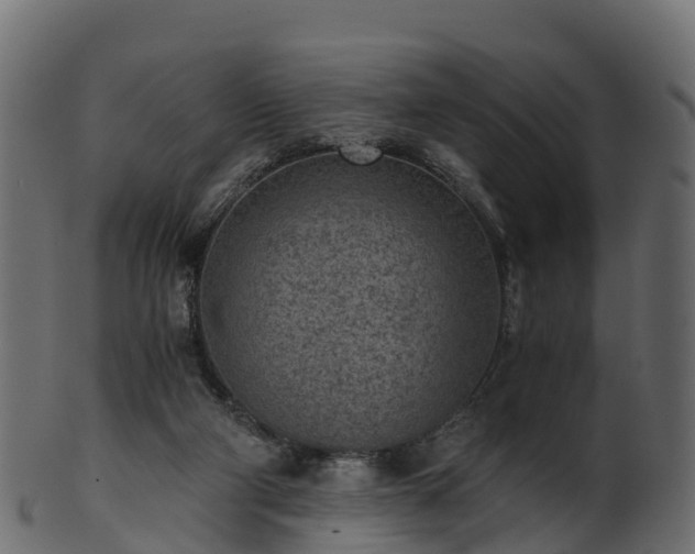 X0000101110114200807031749